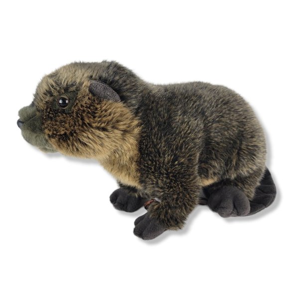 Webkinz Signature Gold Beaver Plush WKS1027 No Code - Picture 3 of 7